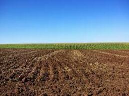 Terrain agricole à Sétif